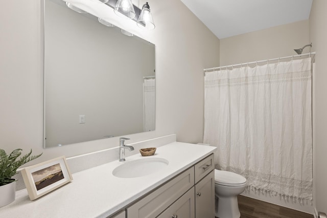 bathroom with walk in shower, wood-type flooring, vanity, and toilet