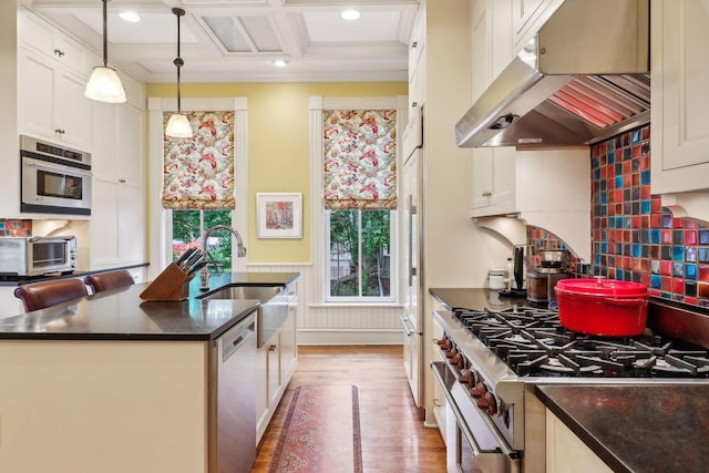 kitchen featuring exhaust hood, sink, appliances with stainless steel finishes, decorative light fixtures, and wood-type flooring