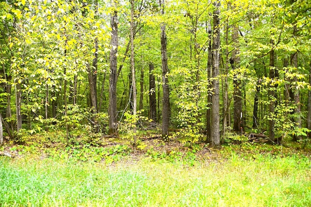 XXXXX Ode Cir, Moran Twp MN, 56438 land for sale