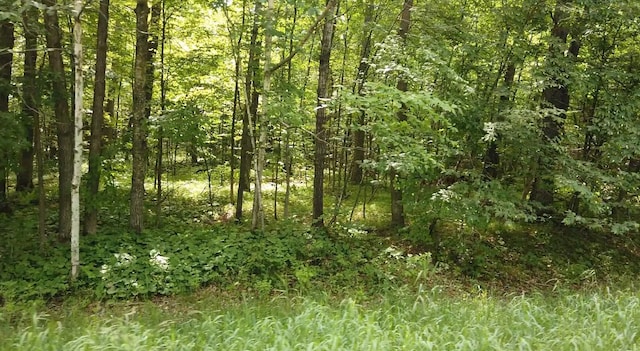 X Ode Cir, Moran Twp MN, 56438 land for sale