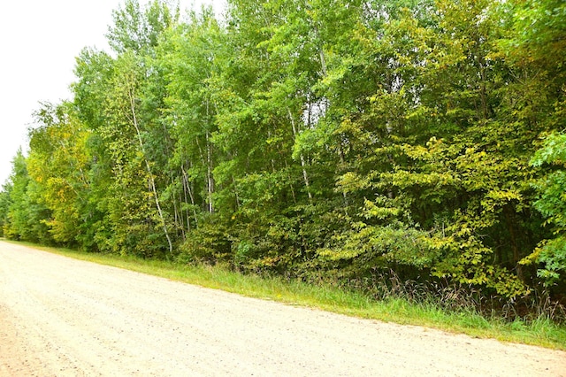 X Orchard Dr, Moran Twp MN, 56438 land for sale