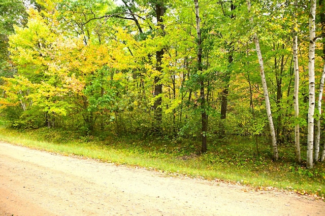 Listing photo 2 for LOT27BLOCK4 Ode Cir, Browerville MN 56438