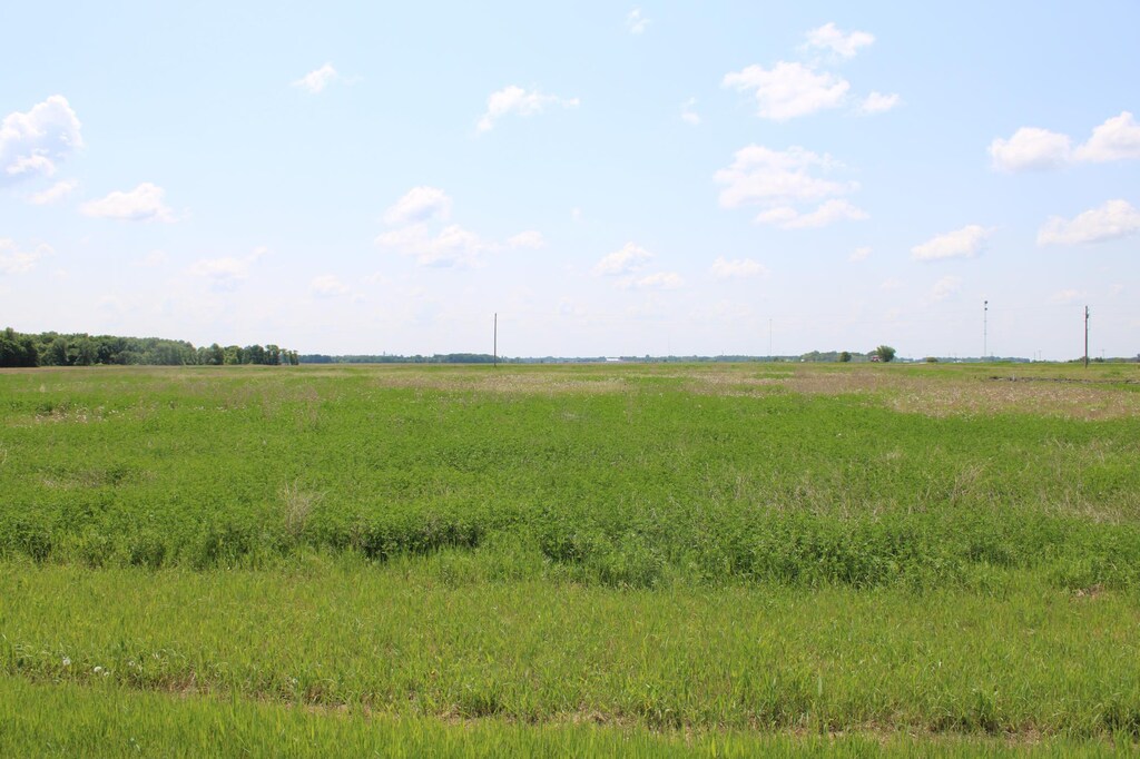LOT5 Willchard Dr, Excel Twp, MN 56701 - photo 1