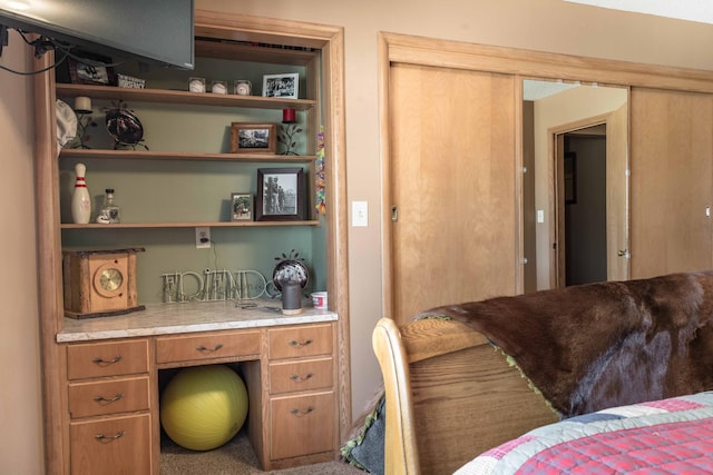 view of carpeted home office