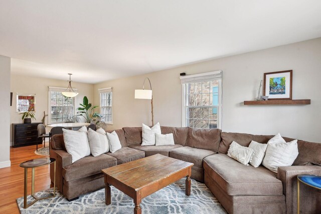 living room with hardwood / wood-style flooring and plenty of natural light