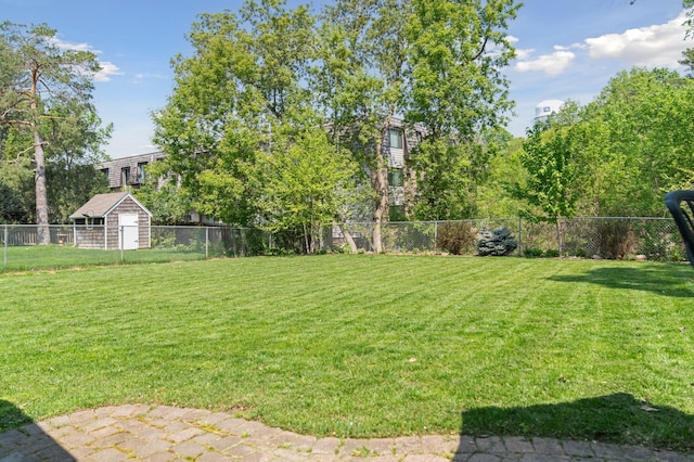 view of yard featuring a storage unit