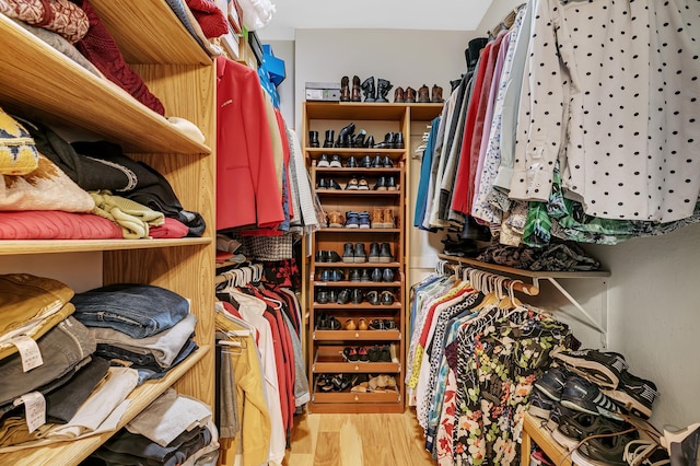 spacious closet featuring light wood-type flooring