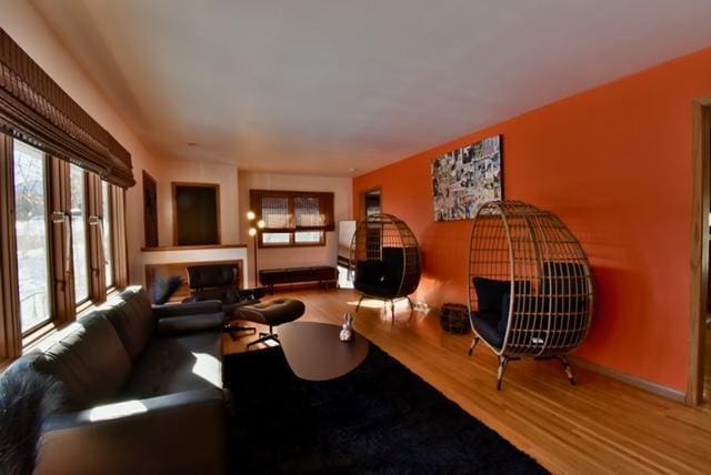 living room featuring hardwood / wood-style flooring