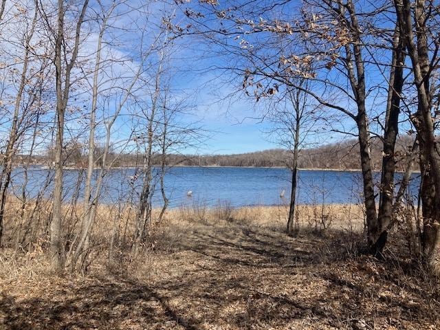 Listing photo 2 for XXX Loon Point Dr SW, Kensington MN 56343