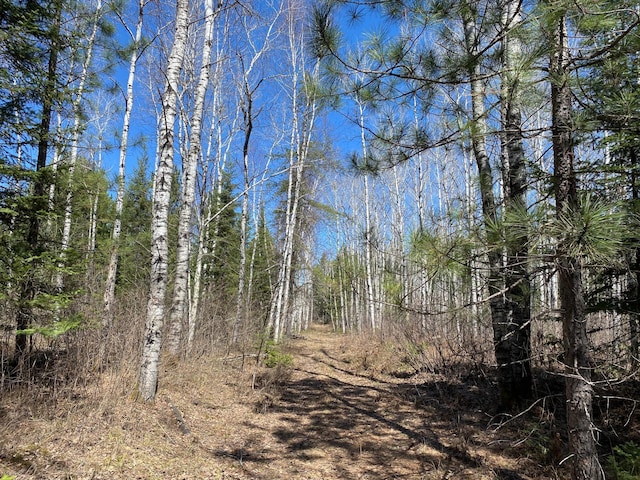 Listing photo 3 for TBD Highway 65, Britt MN 55710