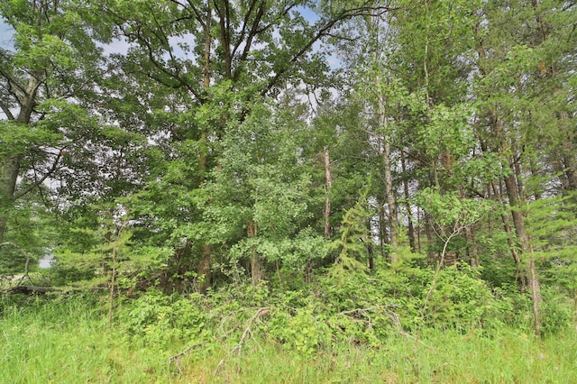 Listing photo 2 for LOT10BLOCK2 Knotty Pine Dr, Baxter MN 56425