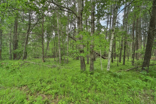 Listing photo 2 for LOT15 Cedar St, Breezy Point MN 56472