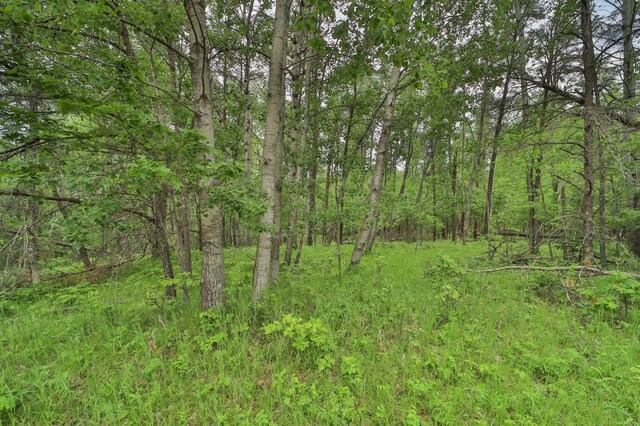 Listing photo 3 for LOT15 Cedar St, Breezy Point MN 56472