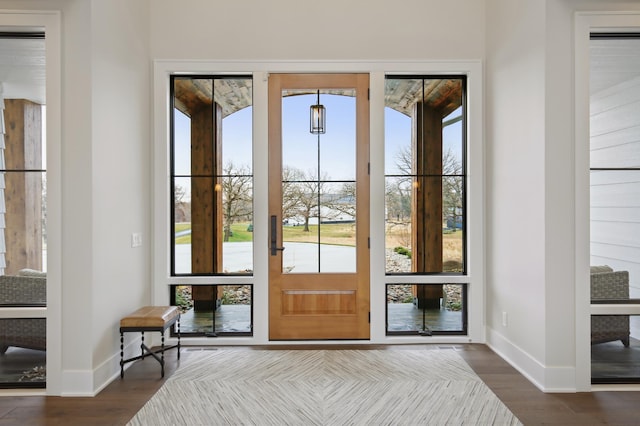 935 Lakewood Hills Rd, Eagan, MN 55123 - entryway featuring plenty of natural light, baseboards, and wood finished floors