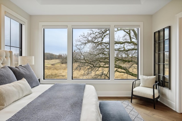 935 Lakewood Hills Rd, Eagan, MN 55123 - bedroom featuring wood finished floors, baseboards, and a raised ceiling