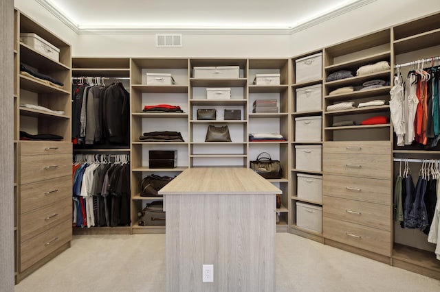 935 Lakewood Hills Rd, Eagan, MN 55123 - spacious closet featuring light colored carpet