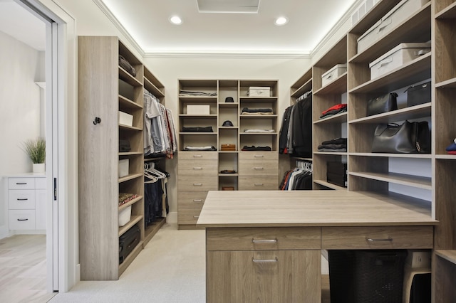 935 Lakewood Hills Rd, Eagan, MN 55123 - view of spacious closet
