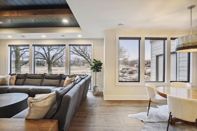 935 Lakewood Hills Rd, Eagan, MN 55123 - living room featuring baseboards, wood-type flooring, and recessed lighting