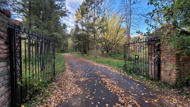 935 Lakewood Hills Rd, Eagan, MN 55123 - view of asphalt driveway with a gate and a gated entry