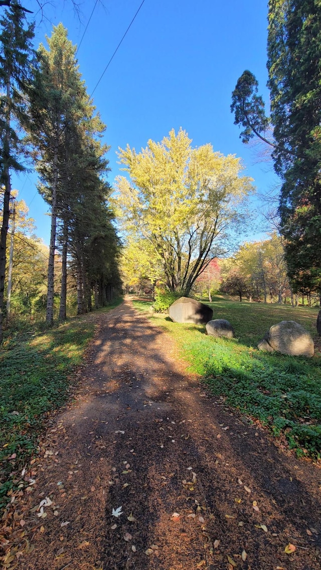 935 Lakewood Hills Rd, Eagan, MN 55123 - view of street