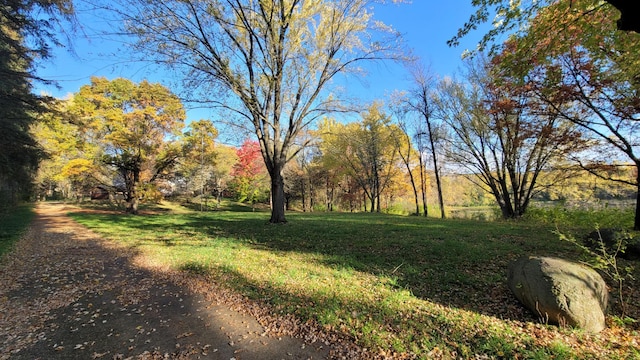 935 Lakewood Hills Rd, Eagan, MN 55123 - view of grassy yard