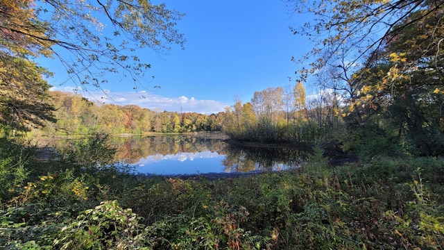 935 Lakewood Hills Rd, Eagan, MN 55123 - water view featuring a heavily wooded area
