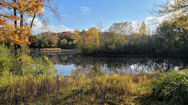 935 Lakewood Hills Rd, Eagan, MN 55123 - water view with a forest
