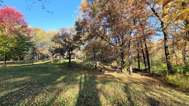 935 Lakewood Hills Rd, Eagan, MN 55123 - view of green lawn