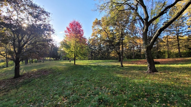 935 Lakewood Hills Rd, Eagan, MN 55123 - view of green lawn