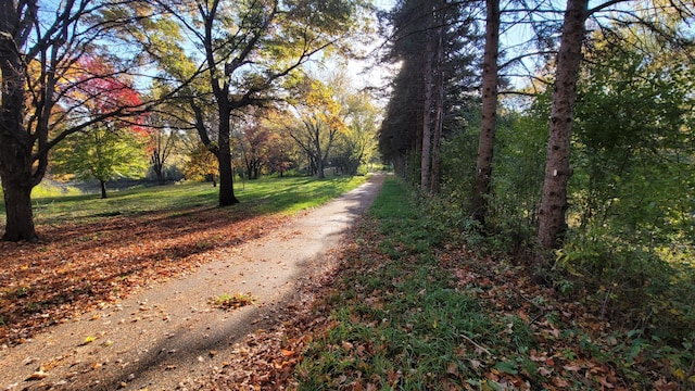 935 Lakewood Hills Rd, Eagan, MN 55123 - view of road