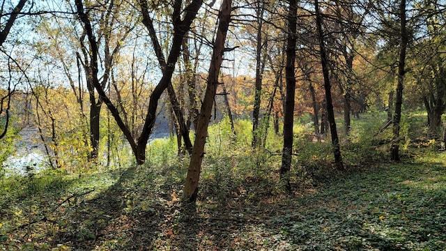 935 Lakewood Hills Rd, Eagan, MN 55123 - view of wooded area