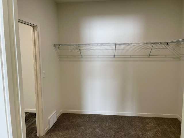 spacious closet featuring carpet floors