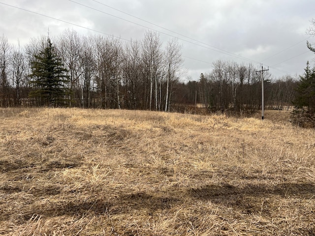 Listing photo 2 for TBD US Highway 2, Lengby MN 56542