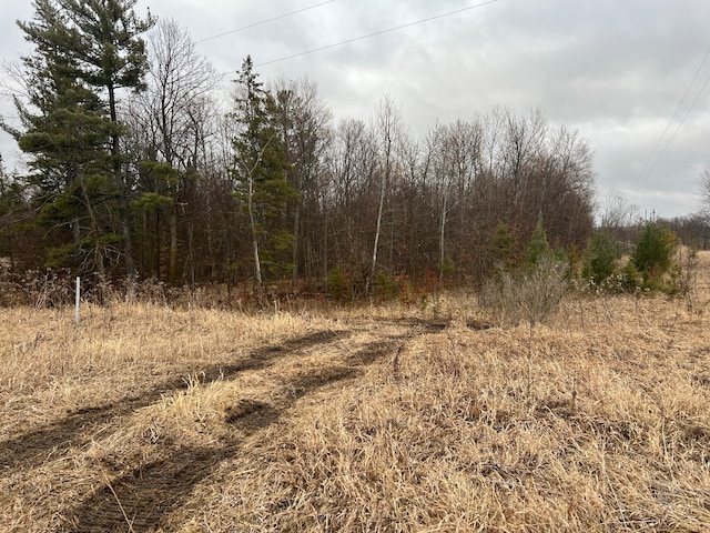 Listing photo 3 for TBD US Highway 2, Lengby MN 56542