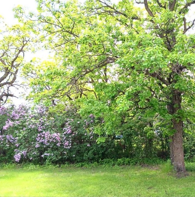 view of nature