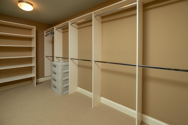 walk in closet featuring light carpet