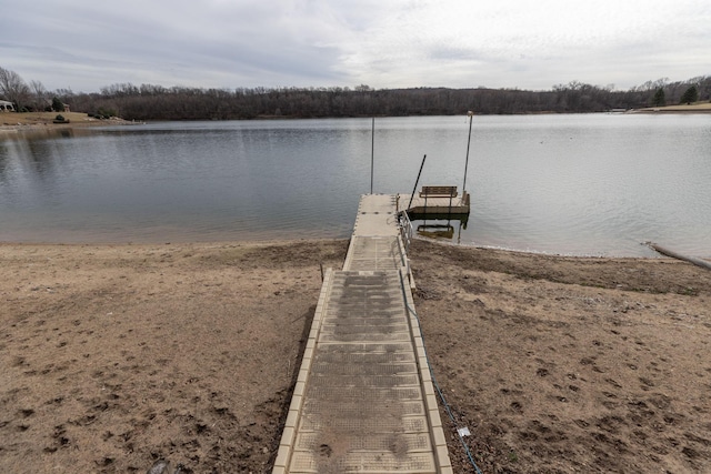 dock area with a water view