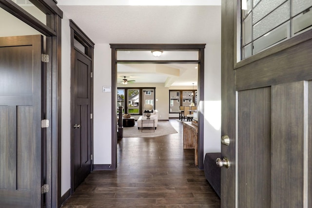 entrance foyer featuring dark hardwood / wood-style floors and ceiling fan with notable chandelier