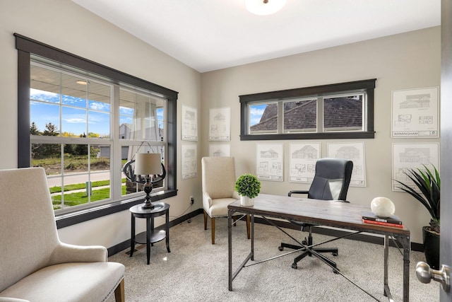 office space with light colored carpet