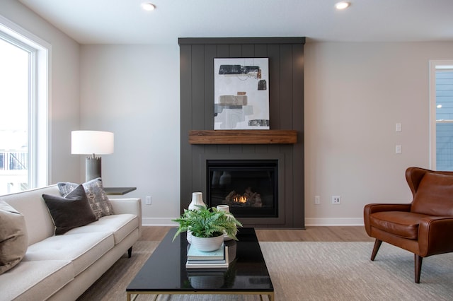 living room featuring hardwood / wood-style floors and a large fireplace