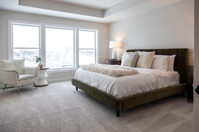 carpeted bedroom featuring a tray ceiling