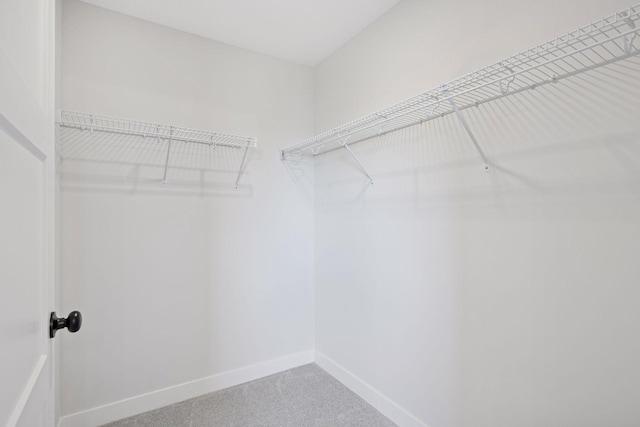 spacious closet with carpet floors