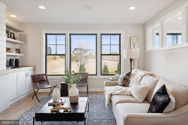 living room featuring light hardwood / wood-style flooring