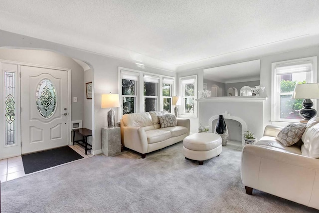 living room with a textured ceiling and carpet flooring