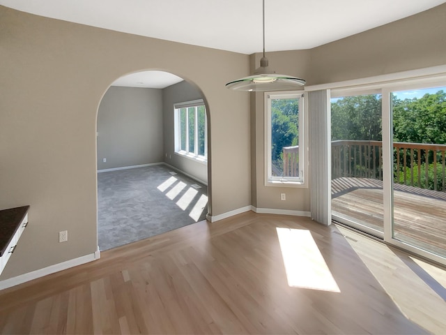 spare room with light wood-type flooring and a wealth of natural light