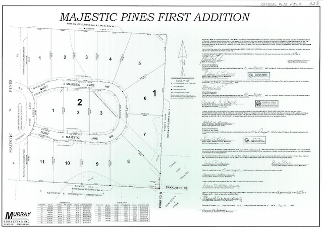 Listing photo 2 for TBD Majestic Pines Ln NW, Bemidji MN 56601