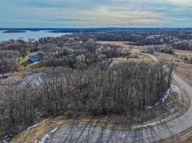 28653 Clarence Ct, Paynesville MN, 56362 land for sale