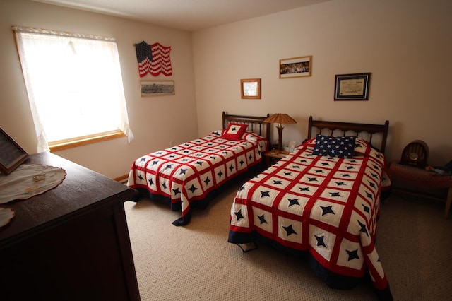 bedroom with carpet floors