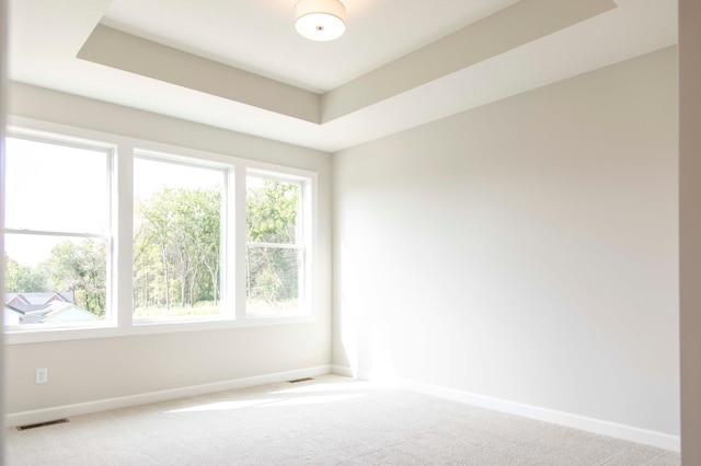 carpeted spare room featuring a tray ceiling