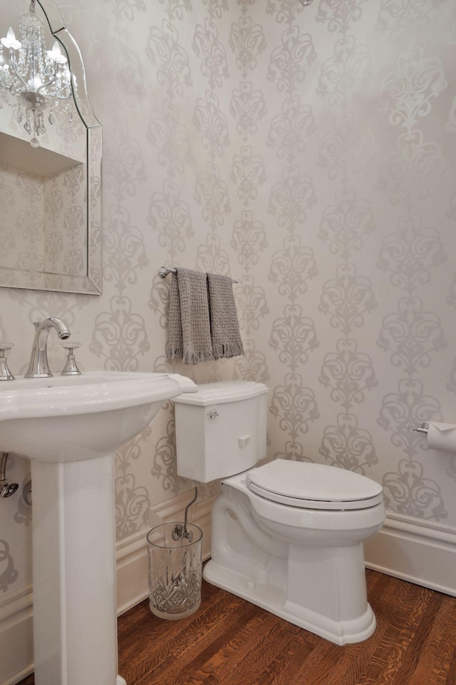 bathroom with wood-type flooring and toilet